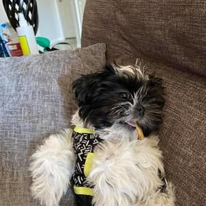 Meet your Posher, Jan